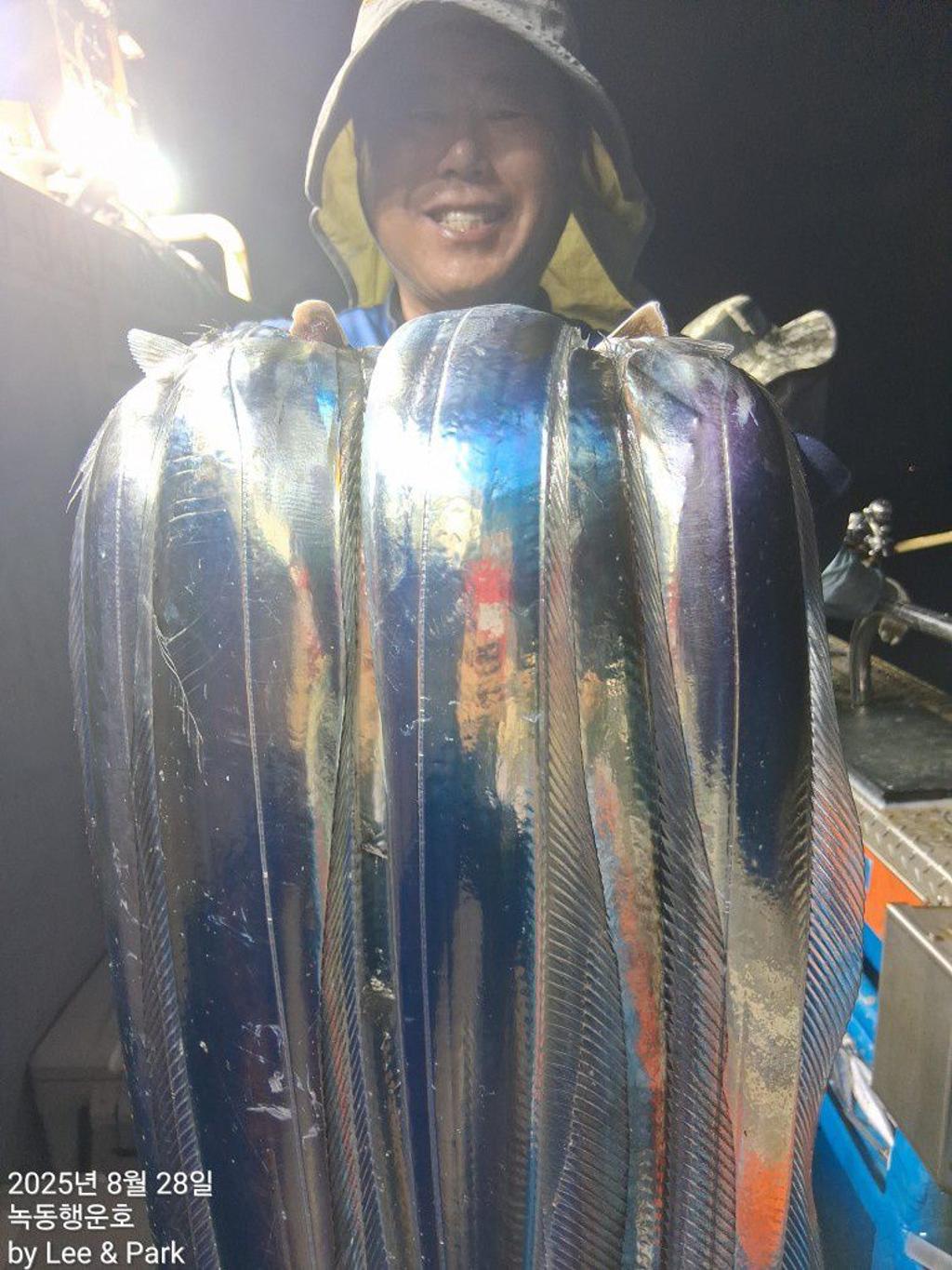 낚시뚜,갈치,녹동항,녹동대성호,낚시뚜38