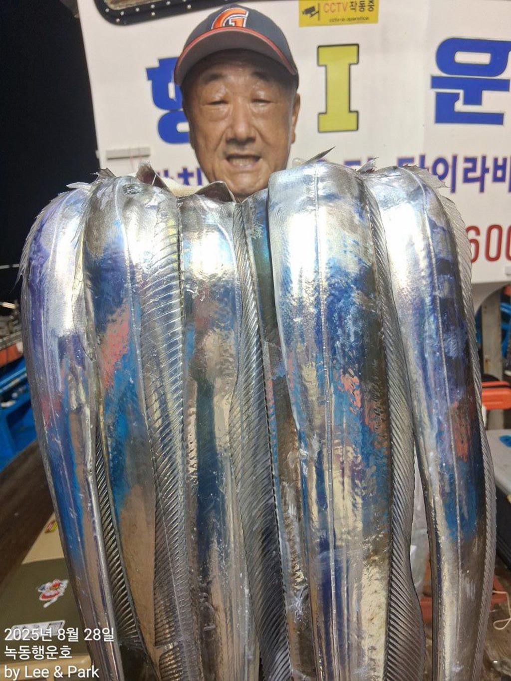 낚시뚜,갈치,녹동항,녹동대성호,낚시뚜37
