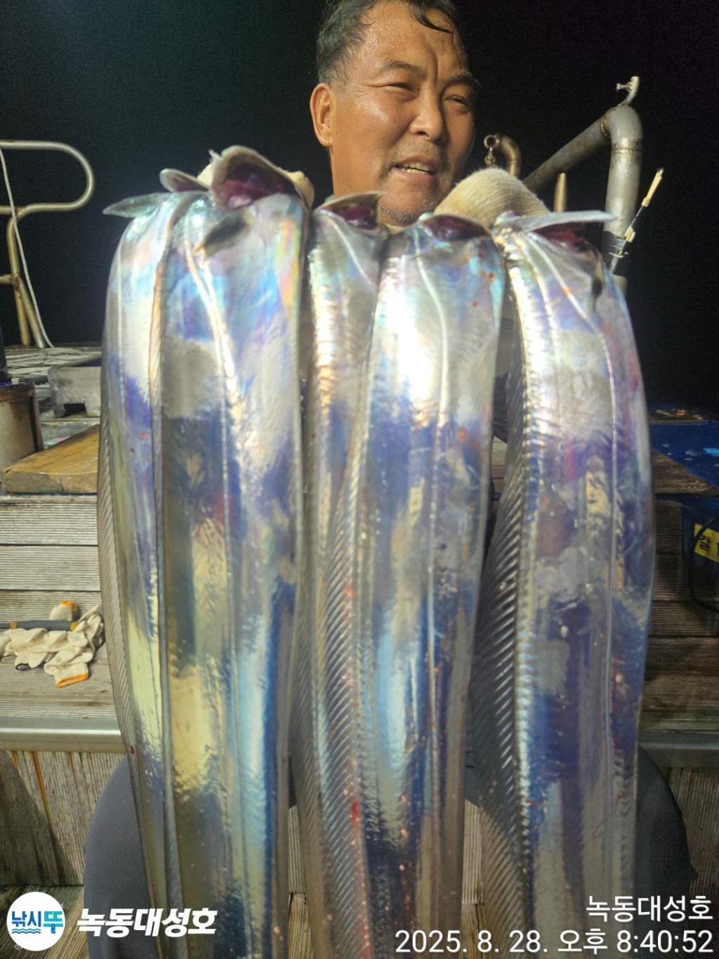 낚시뚜,갈치,녹동항,녹동대성호,낚시뚜32