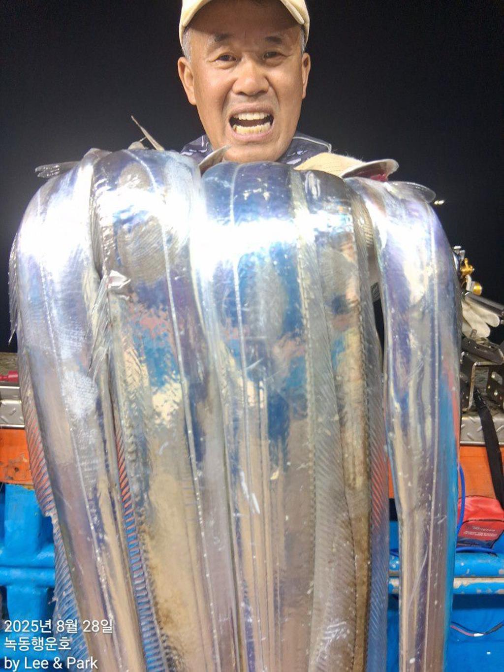 낚시뚜,갈치,녹동항,녹동대성호,낚시뚜31