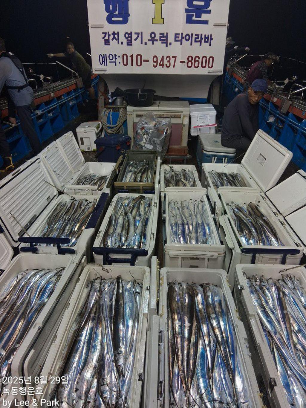 낚시뚜,갈치,녹동항,녹동대성호,낚시뚜0