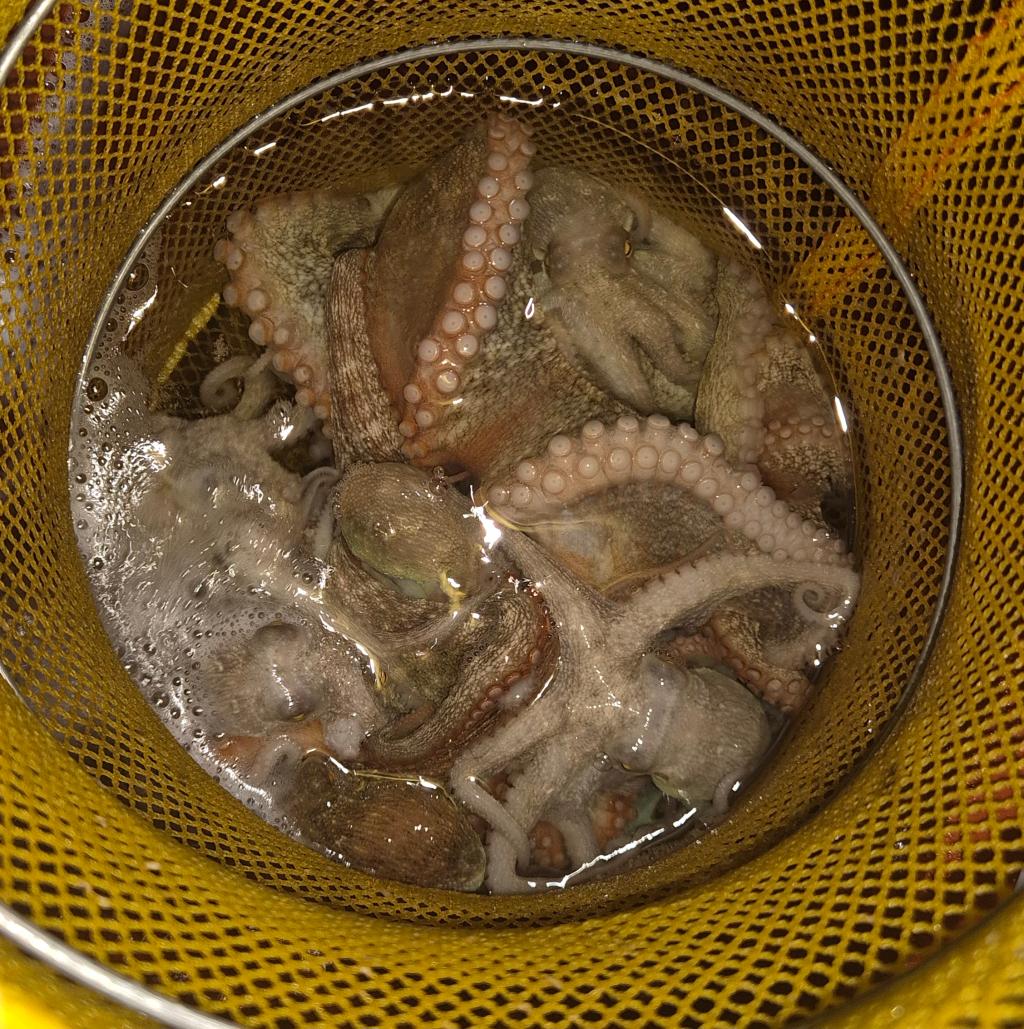 F27655516T.jpg