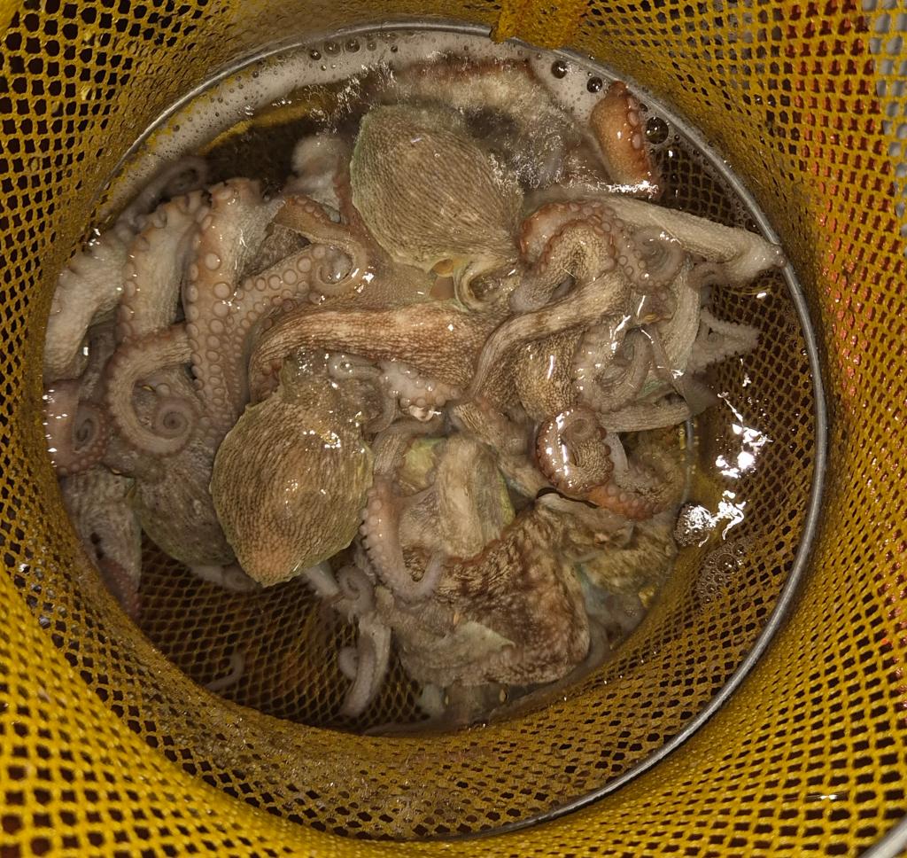 F2765552VF.jpg