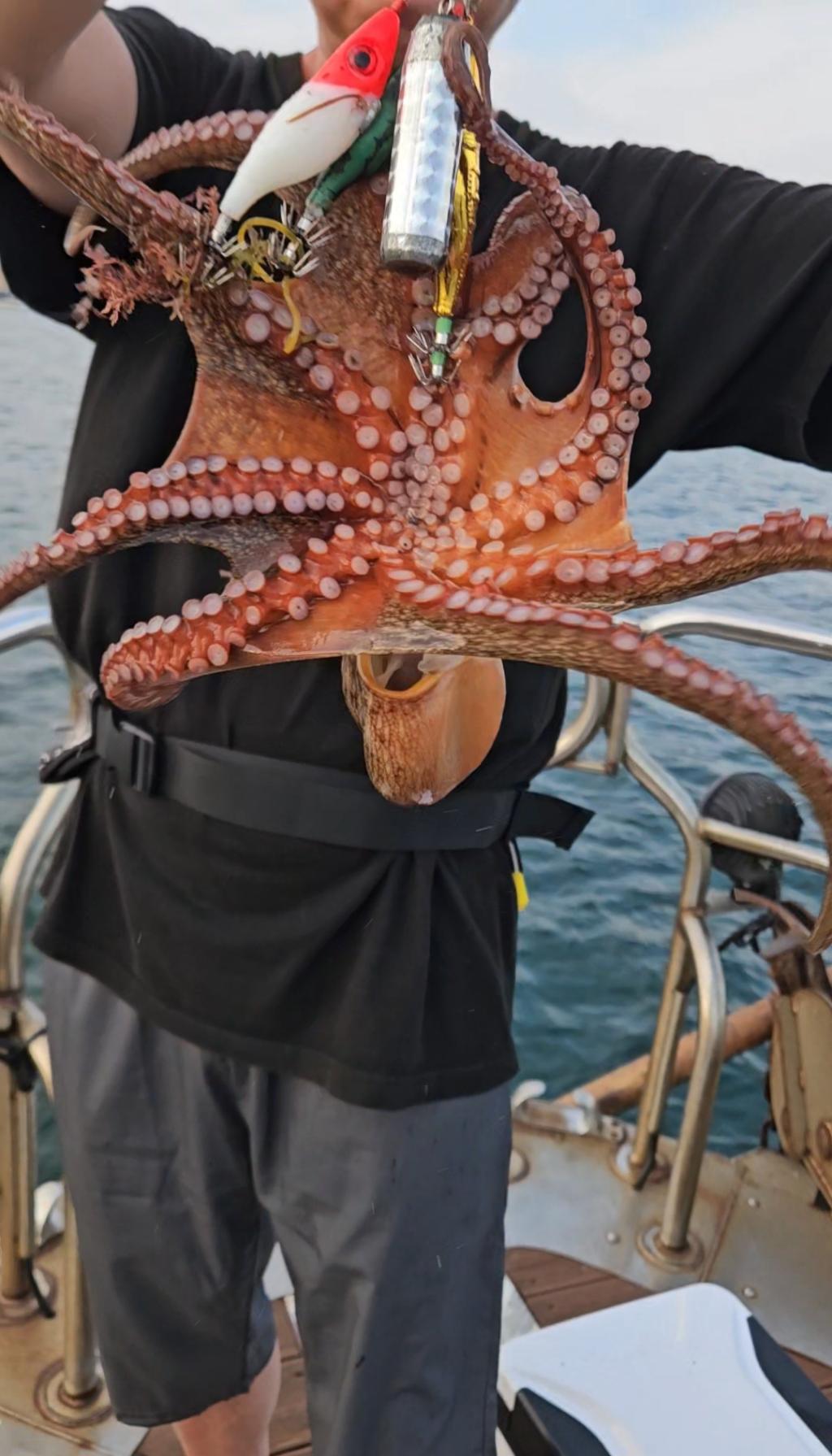 F2765573R7.jpg