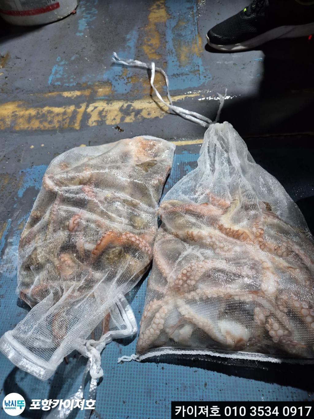 낚시뚜,기타 (직접입력),영일만항,포항카이져호,낚시뚜47