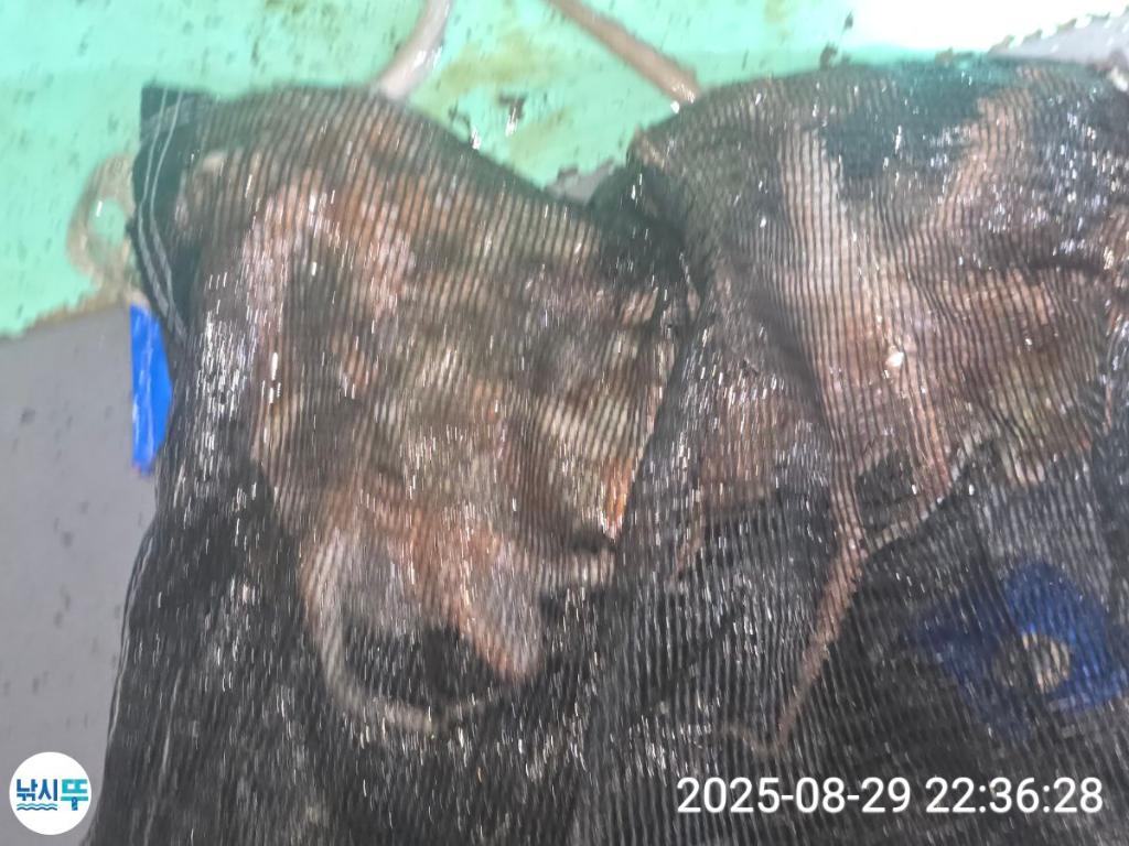 F27656279U.jpg