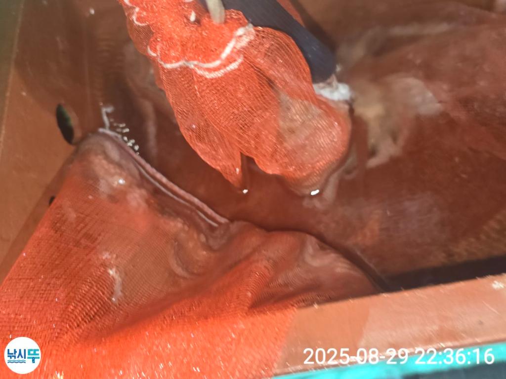 F27656289U.jpg