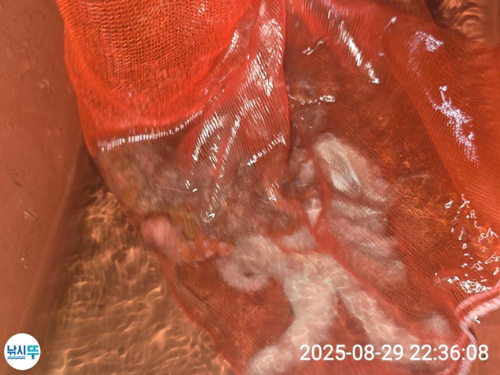 F2765629K0.jpg