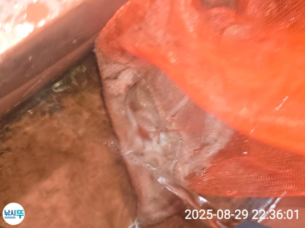 F2765630MA.jpg