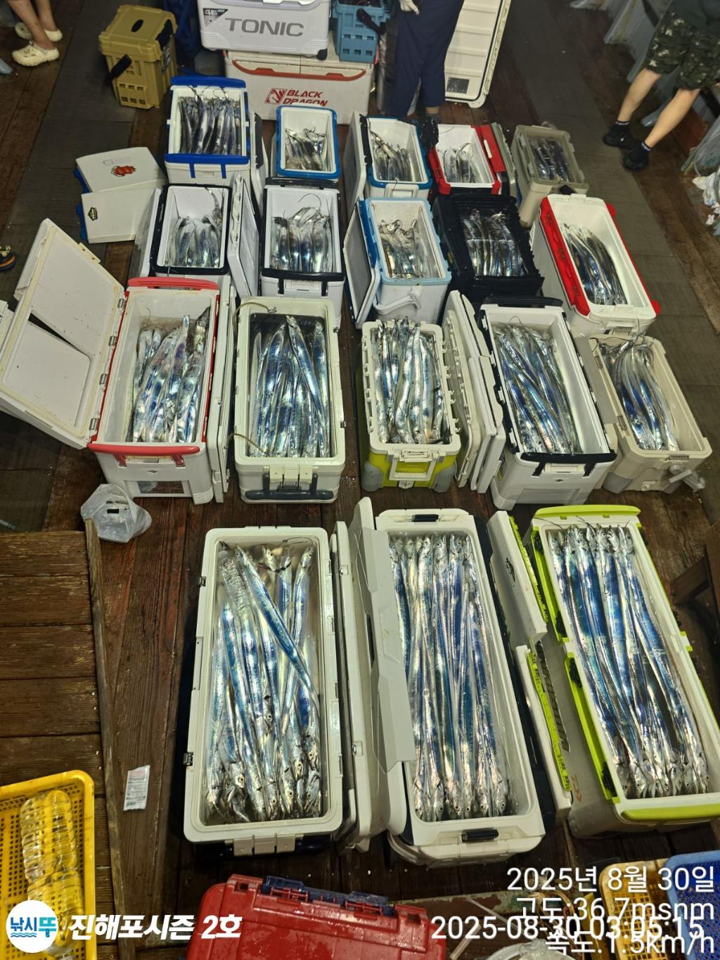낚시뚜,갈치,진해행암항,진해포시즌 2호,낚시뚜21