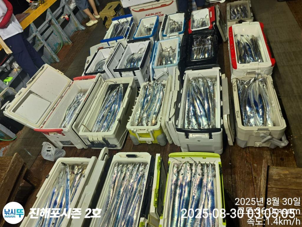 낚시뚜,갈치,진해행암항,진해포시즌 2호,낚시뚜20