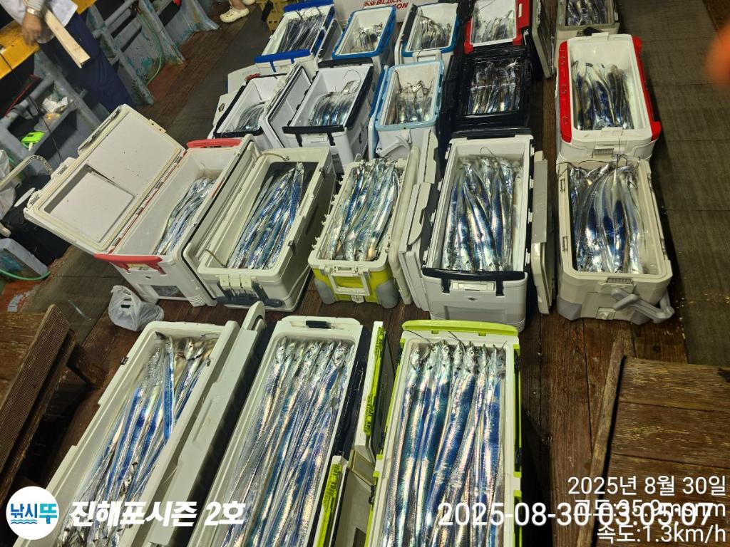 낚시뚜,갈치,진해행암항,진해포시즌 2호,낚시뚜19