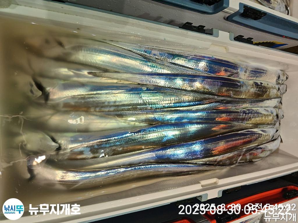 F2765917WB.jpg