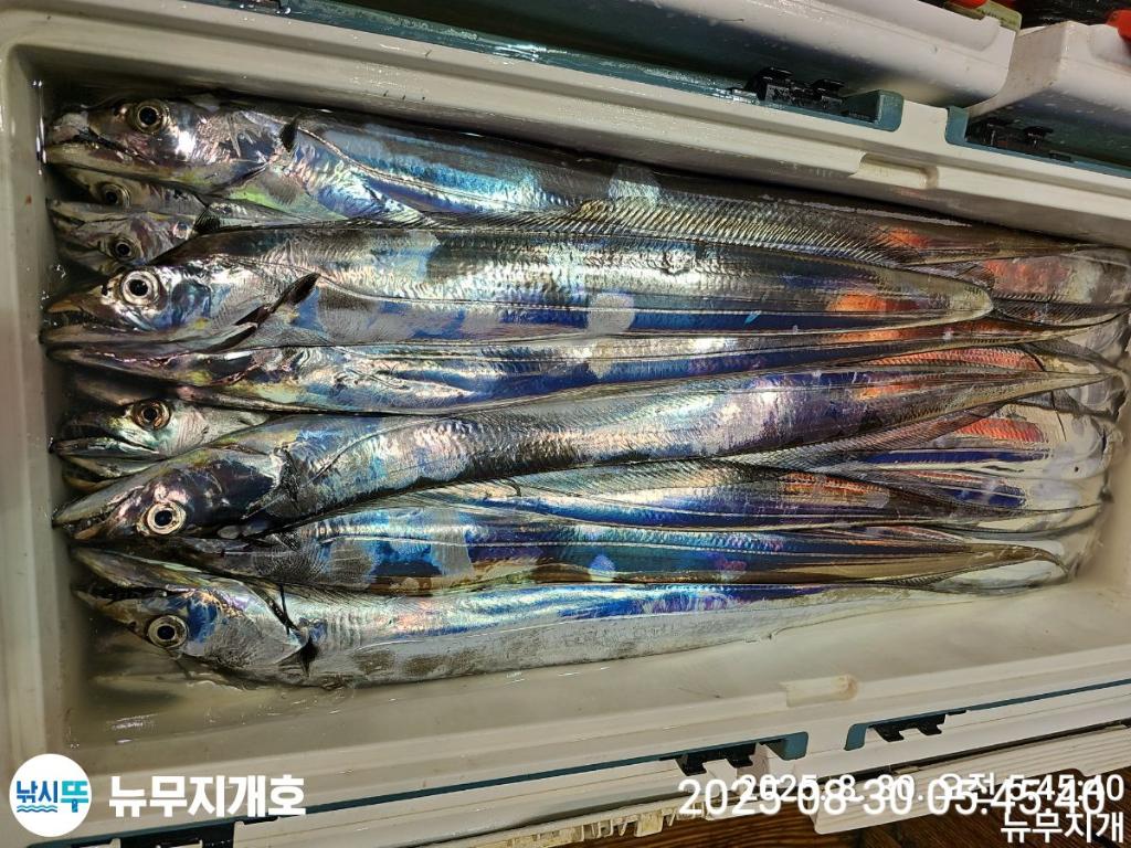 F276592583.jpg