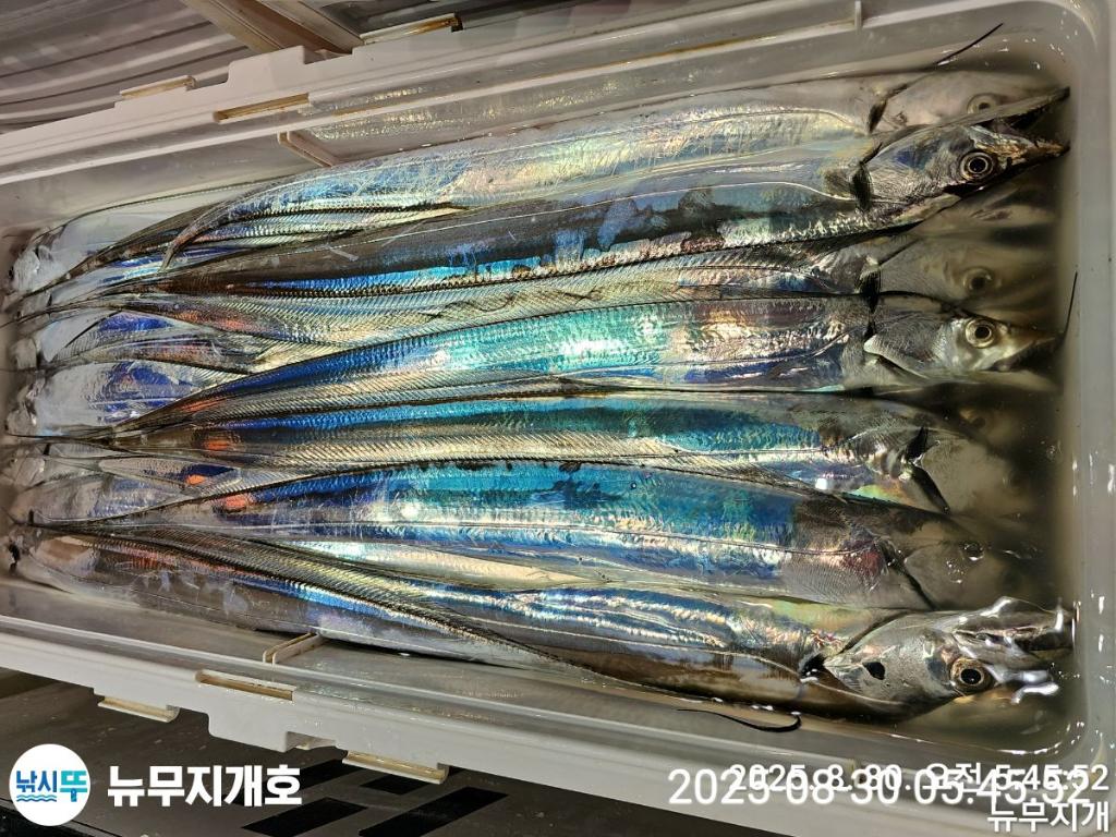 F27659260T.jpg