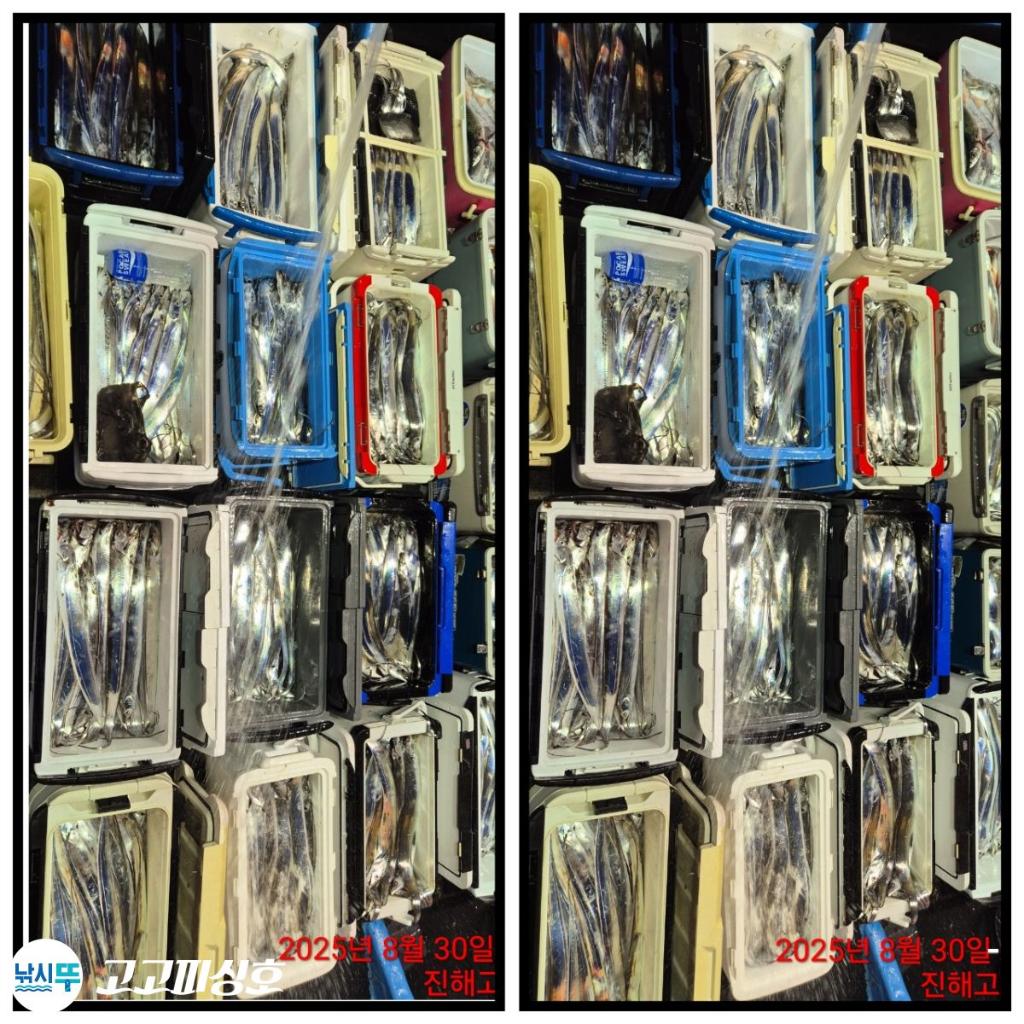 F2765941HI.jpg