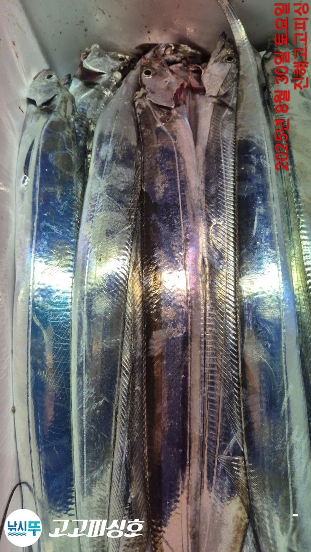 F2765965D9.jpg