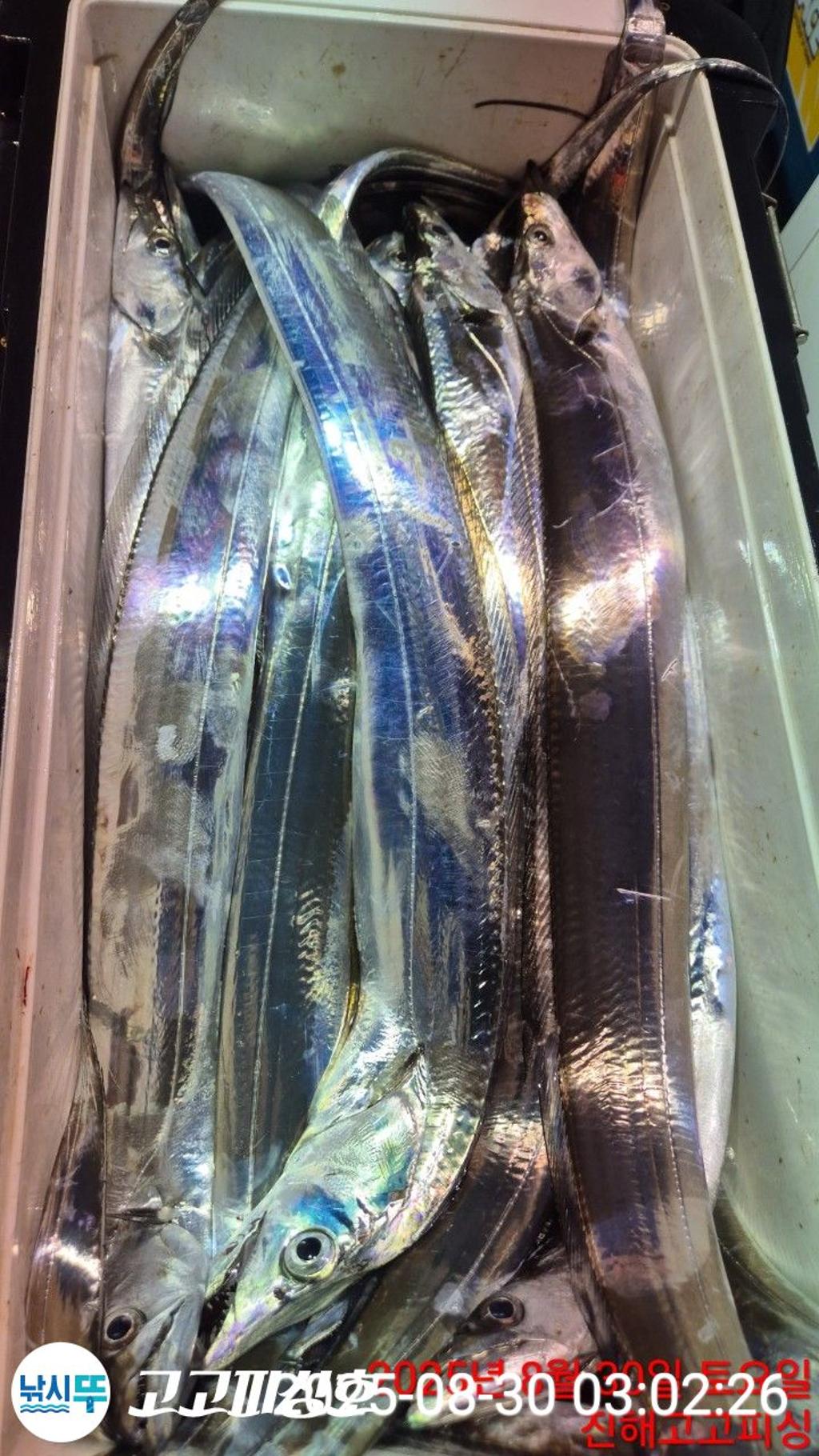 F27659663H.jpg