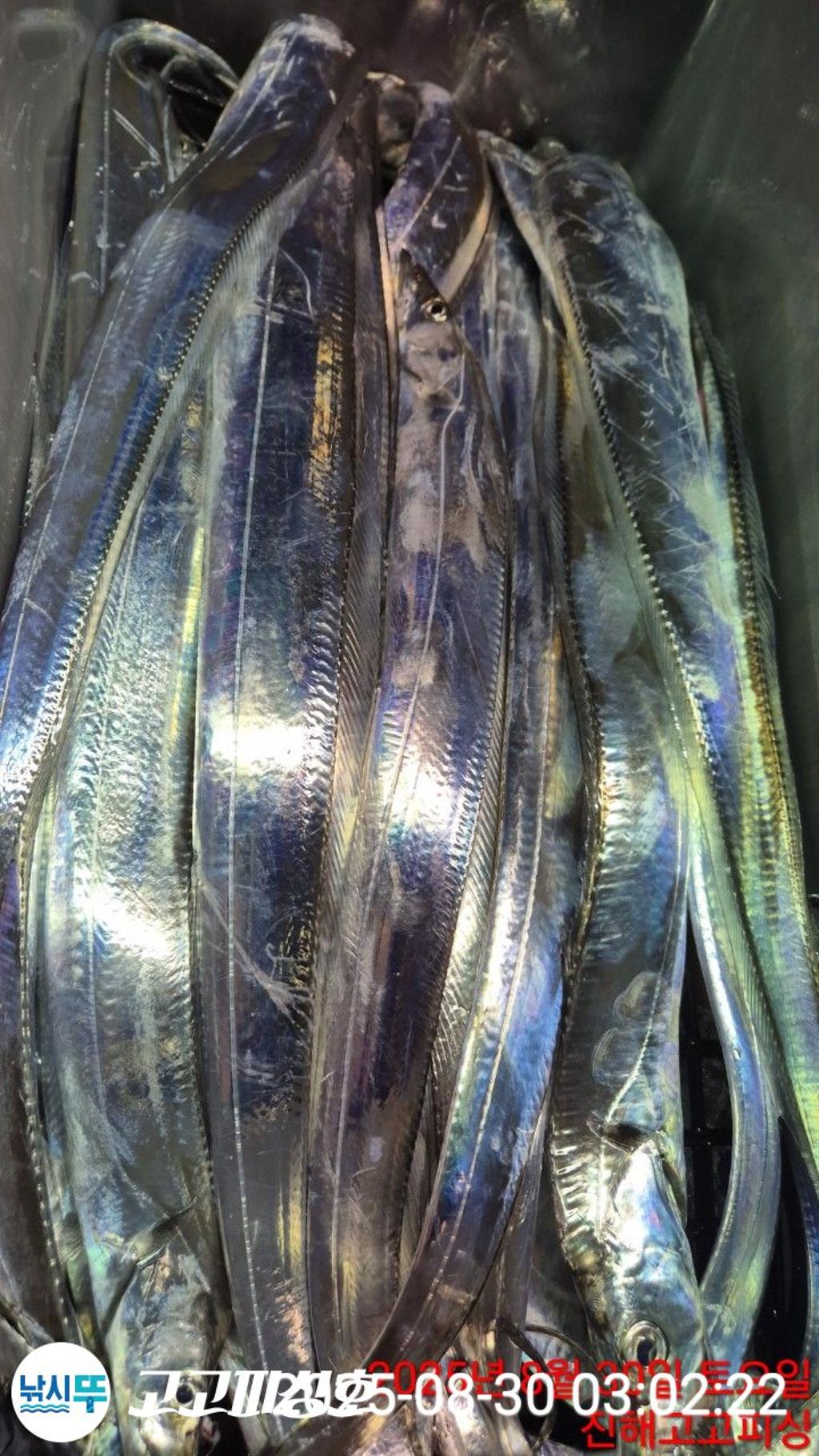 F2765967LH.jpg