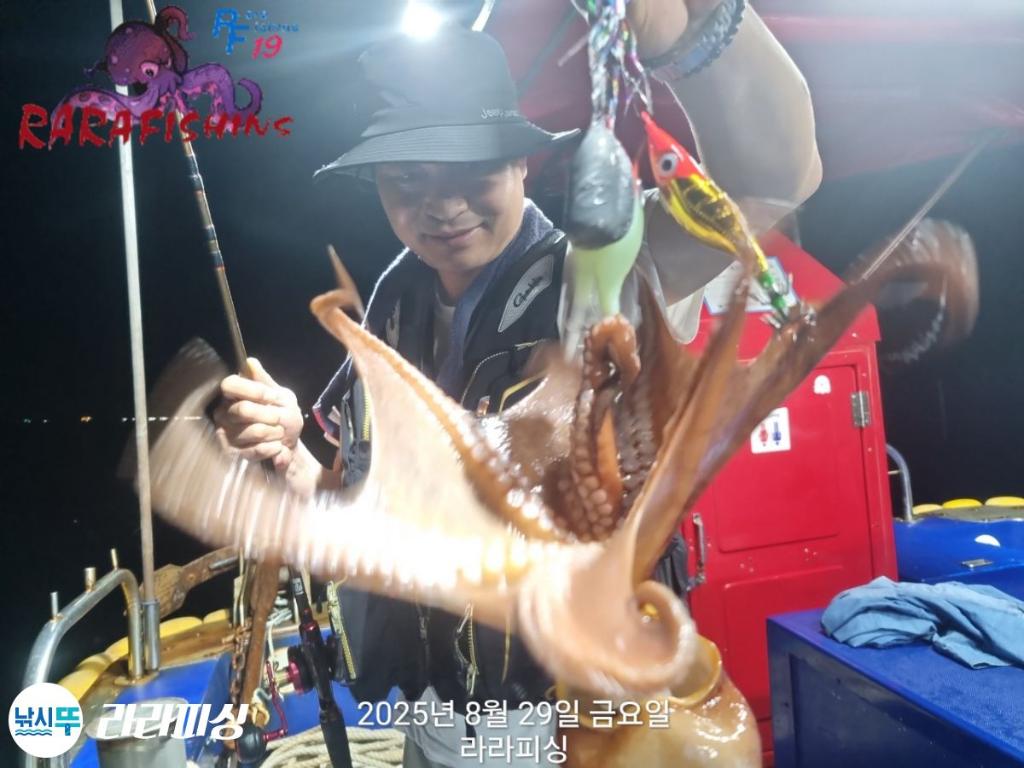 낚시뚜,돌문어,속천항(진해),라라피싱,낚시뚜20