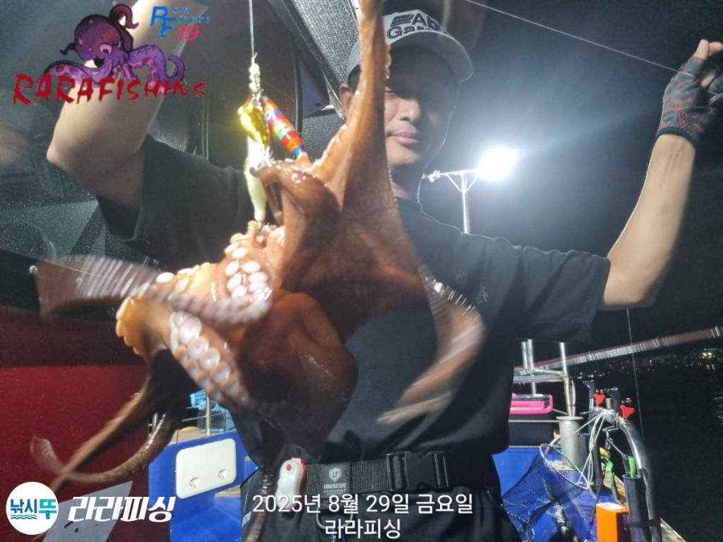 낚시뚜,돌문어,속천항(진해),라라피싱,낚시뚜19