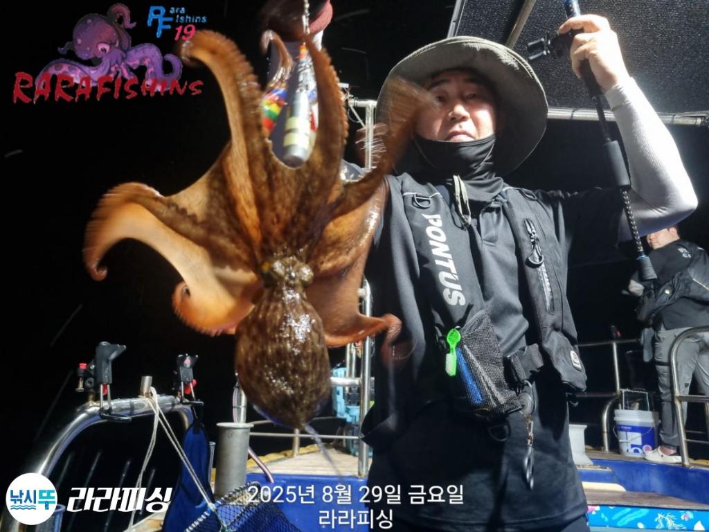 낚시뚜,돌문어,속천항(진해),라라피싱,낚시뚜14