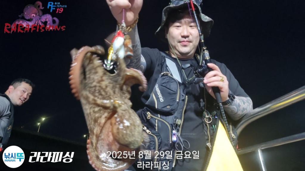 낚시뚜,돌문어,속천항(진해),라라피싱,낚시뚜9