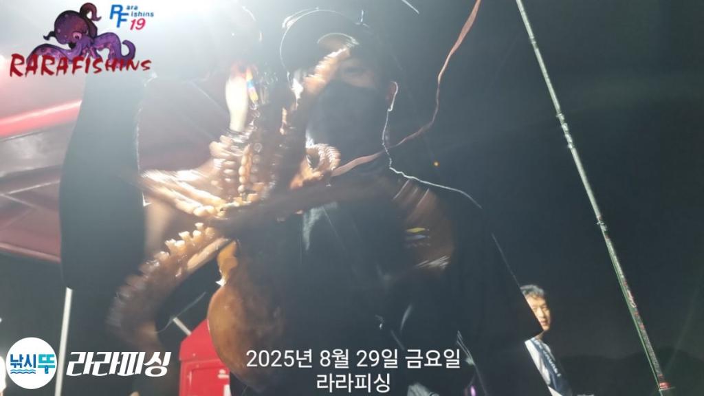 낚시뚜,돌문어,속천항(진해),라라피싱,낚시뚜8