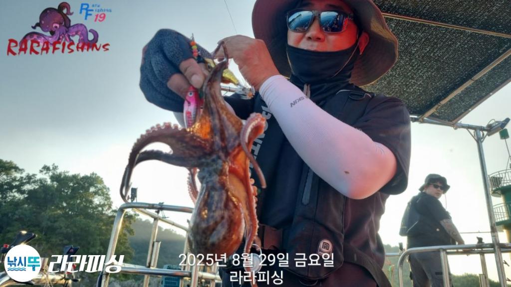 낚시뚜,돌문어,속천항(진해),라라피싱,낚시뚜7