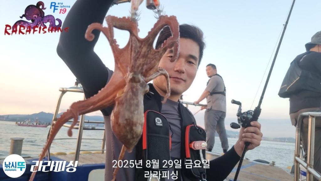 낚시뚜,돌문어,속천항(진해),라라피싱,낚시뚜5