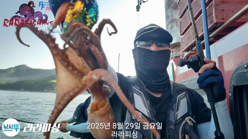 낚시뚜,돌문어,속천항(진해),라라피싱,낚시뚜4