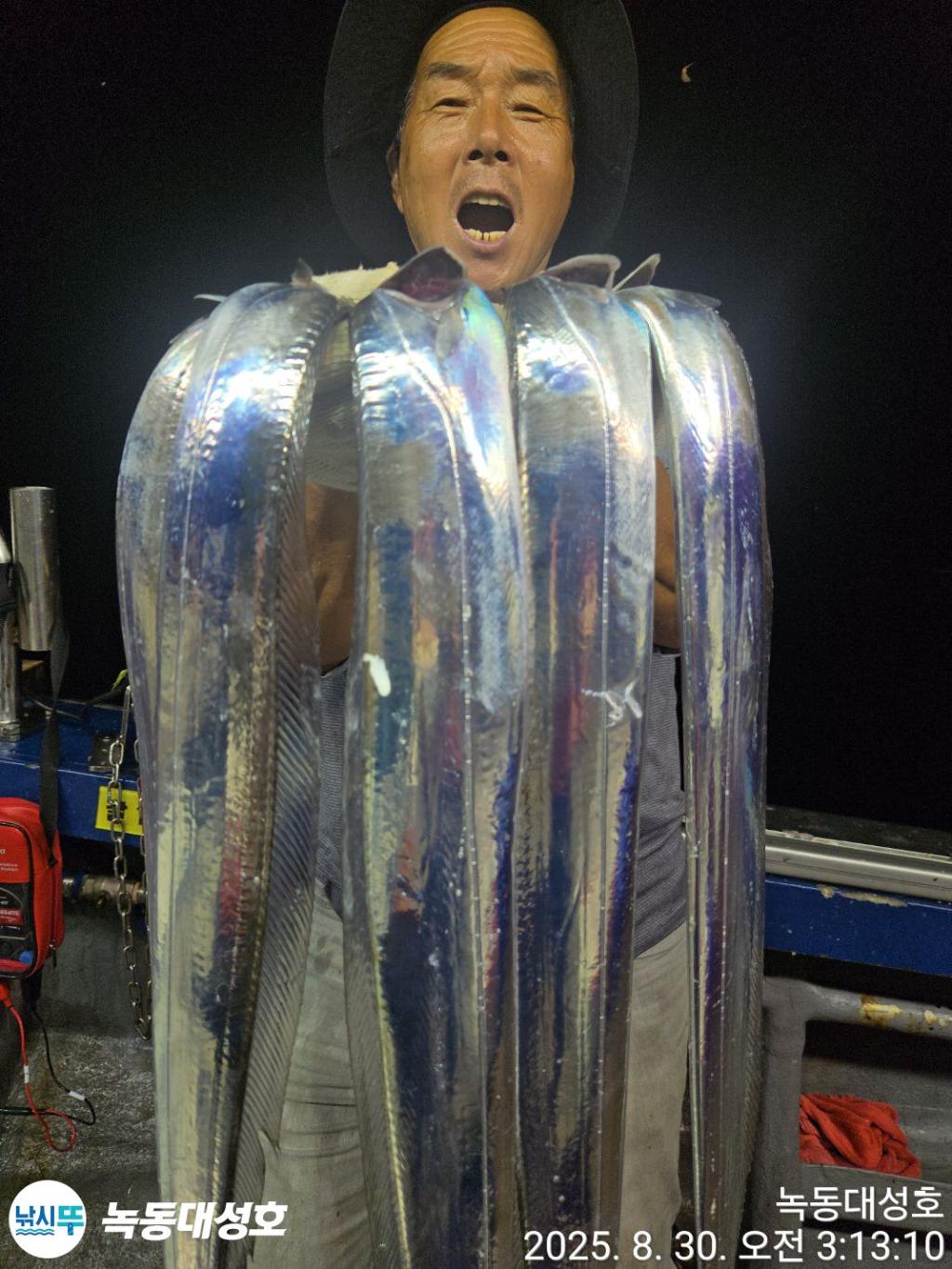 낚시뚜,갈치,녹동항,녹동대성호,낚시뚜28