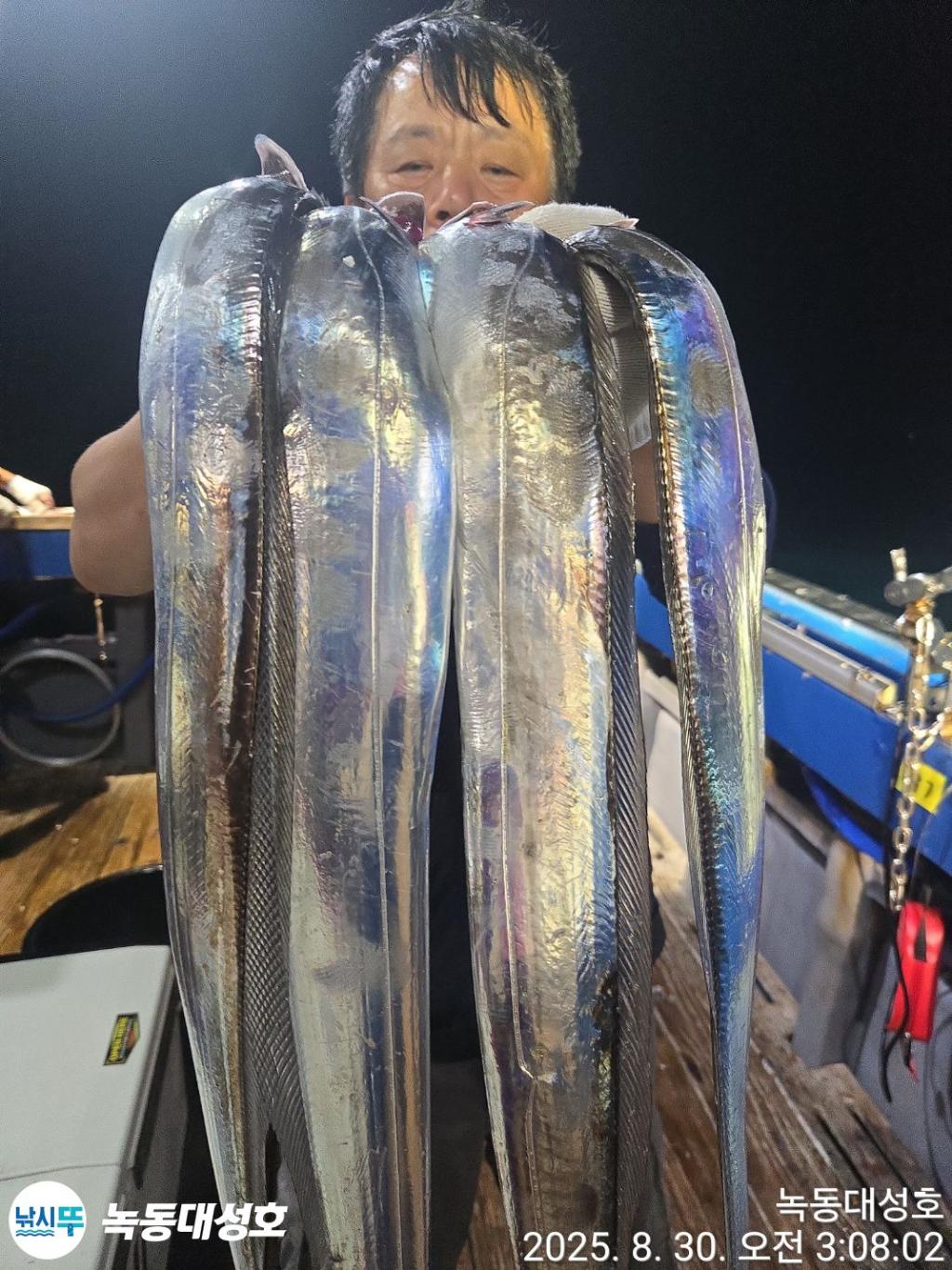 낚시뚜,갈치,녹동항,녹동대성호,낚시뚜26