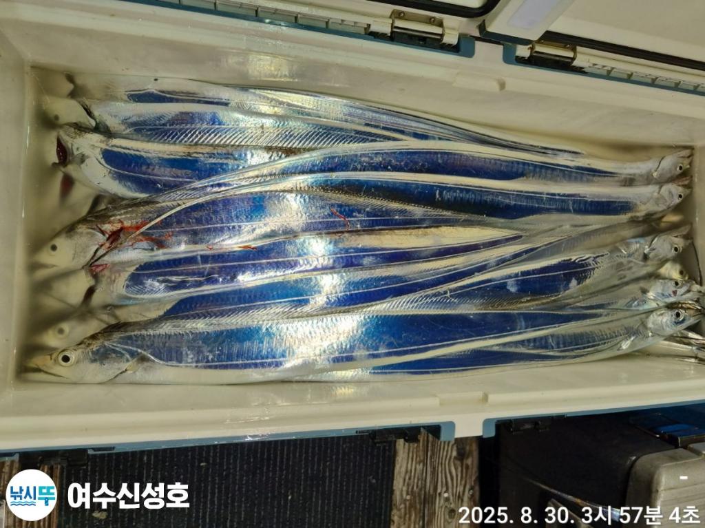 F27662366H.jpg