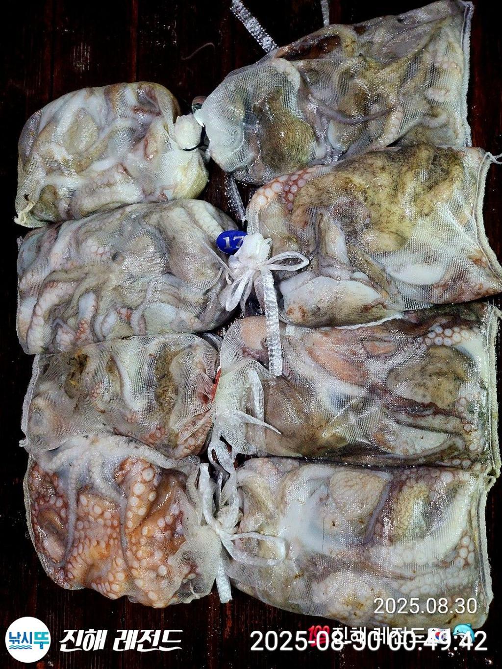 F2766338G5.jpg