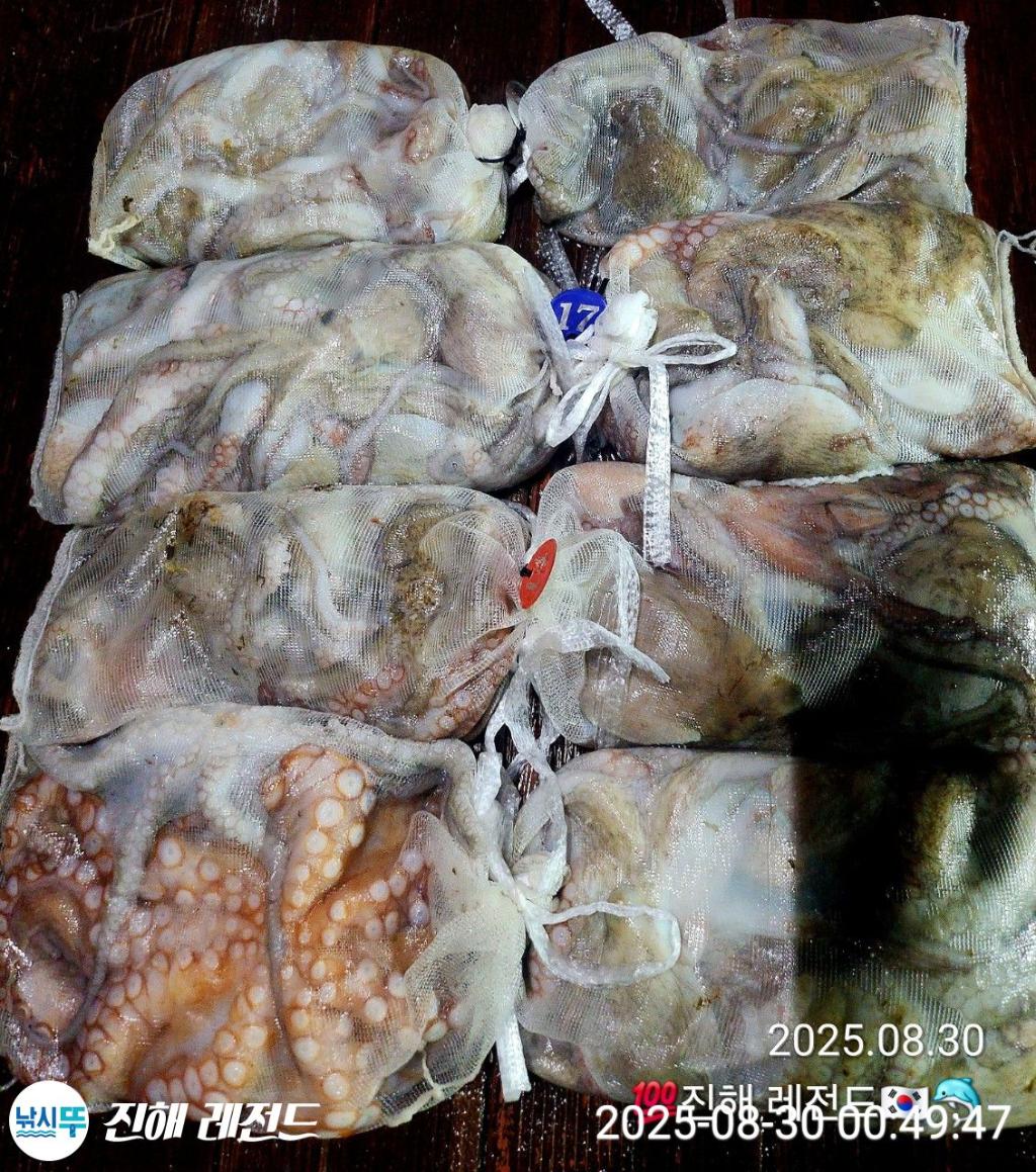F2766362YQ.jpg