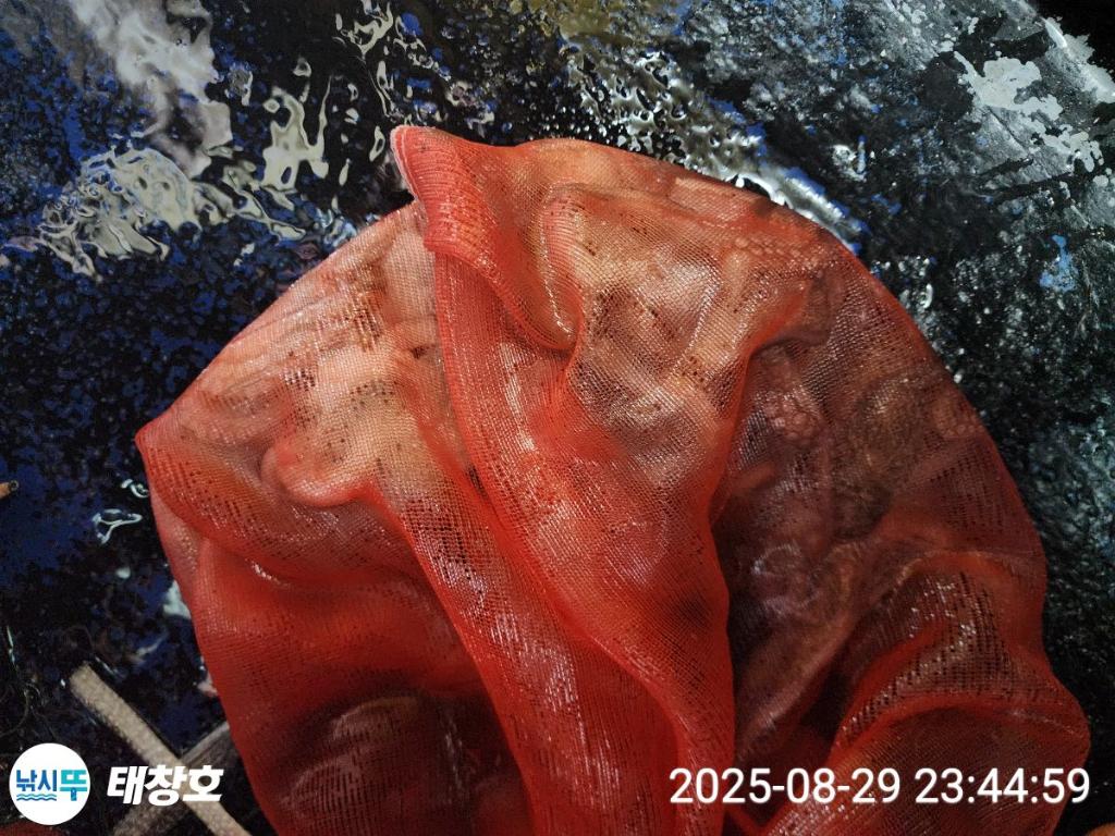 F2766577G6.jpg