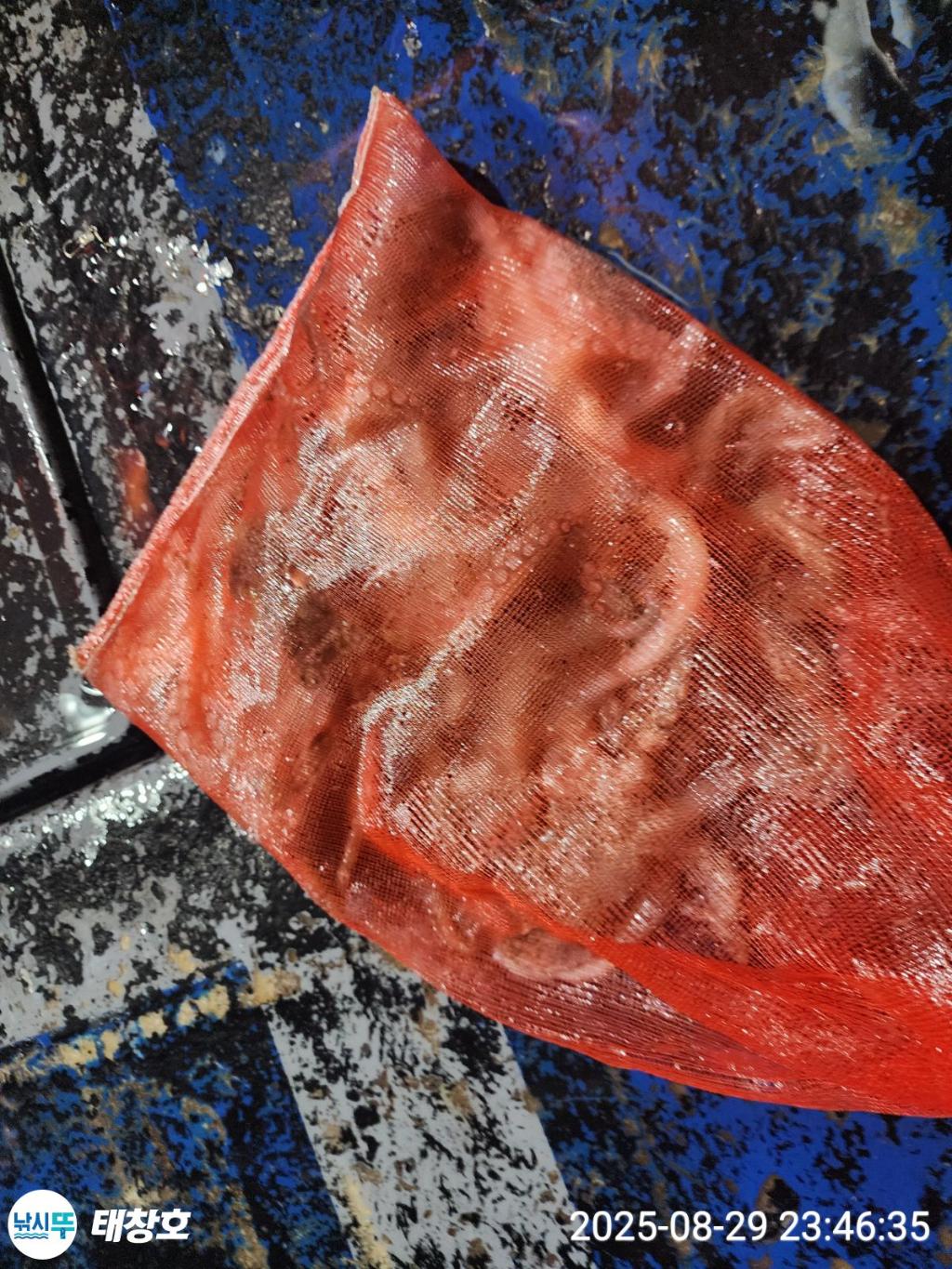 F2766580KE.jpg