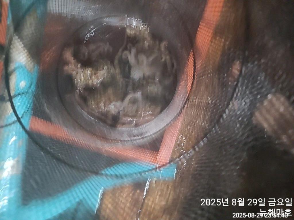F27666429Q.jpg
