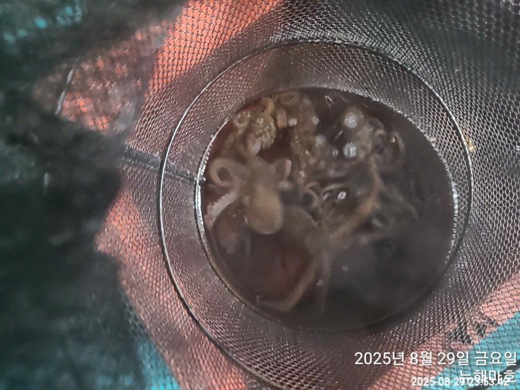 F27666437I.jpg