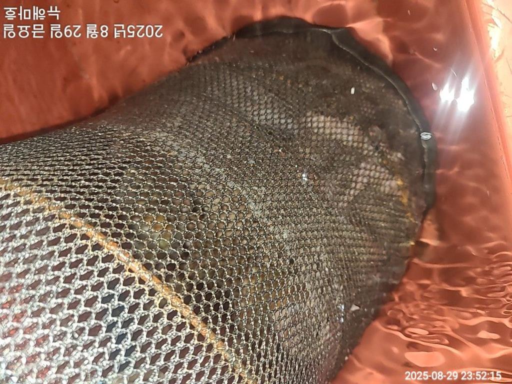 F27666483Y.jpg