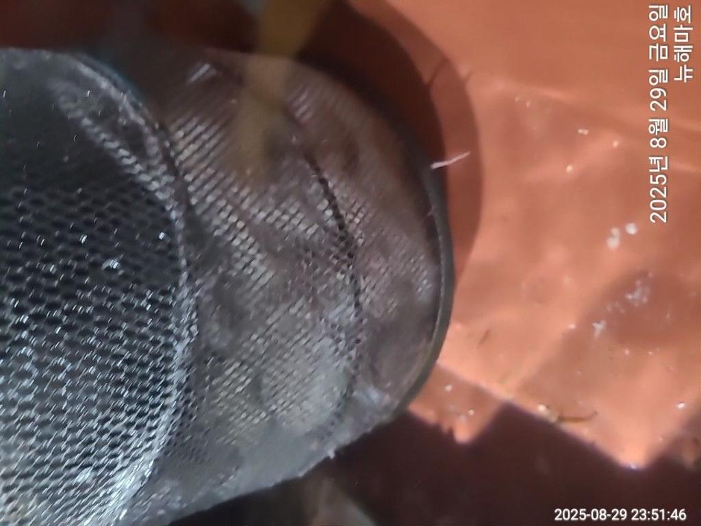 F276664927.jpg