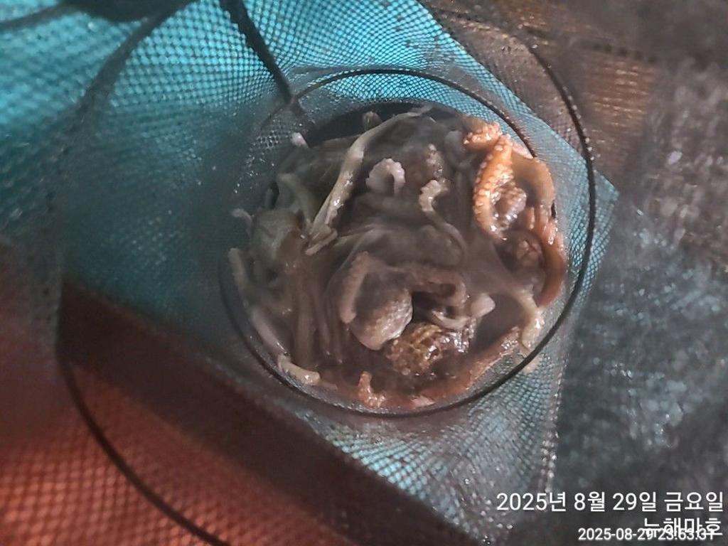 F2766650OQ.jpg