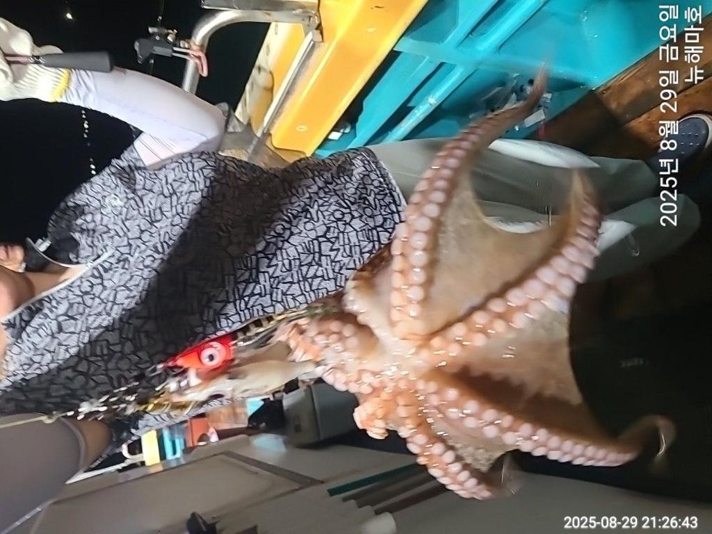 F2766652O0.jpg