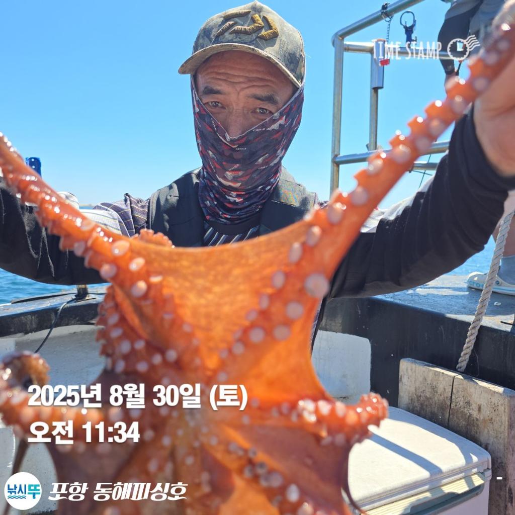 낚시뚜,돌문어,포항(운하관),포항 동해피싱호,낚시뚜13