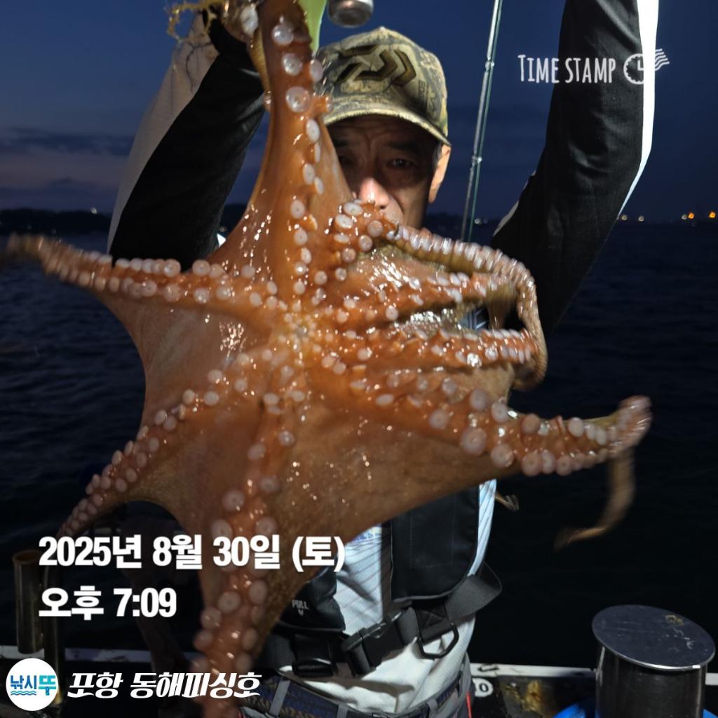 낚시뚜,돌문어,포항(운하관),포항 동해피싱호,낚시뚜7
