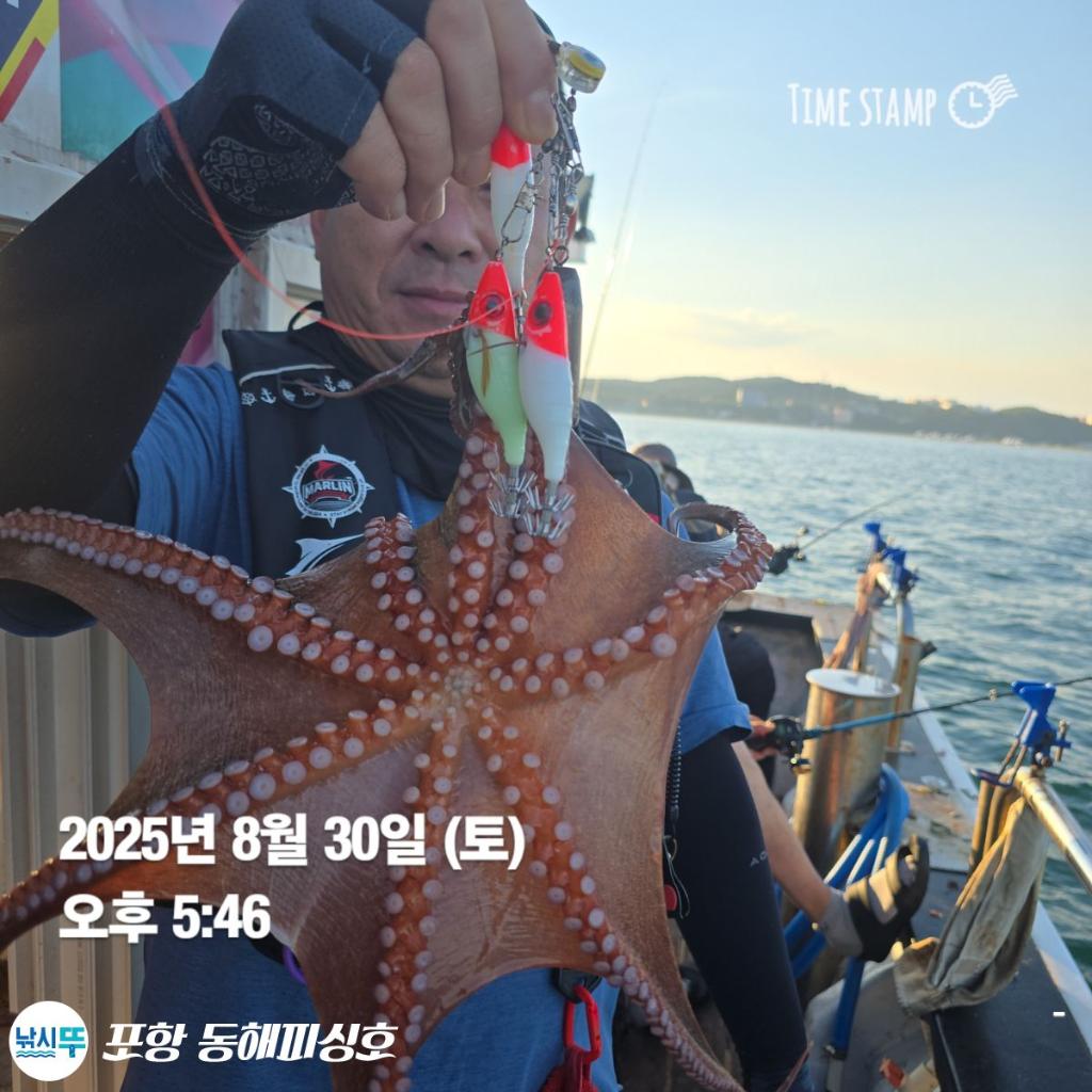 낚시뚜,돌문어,포항(운하관),포항 동해피싱호,낚시뚜3
