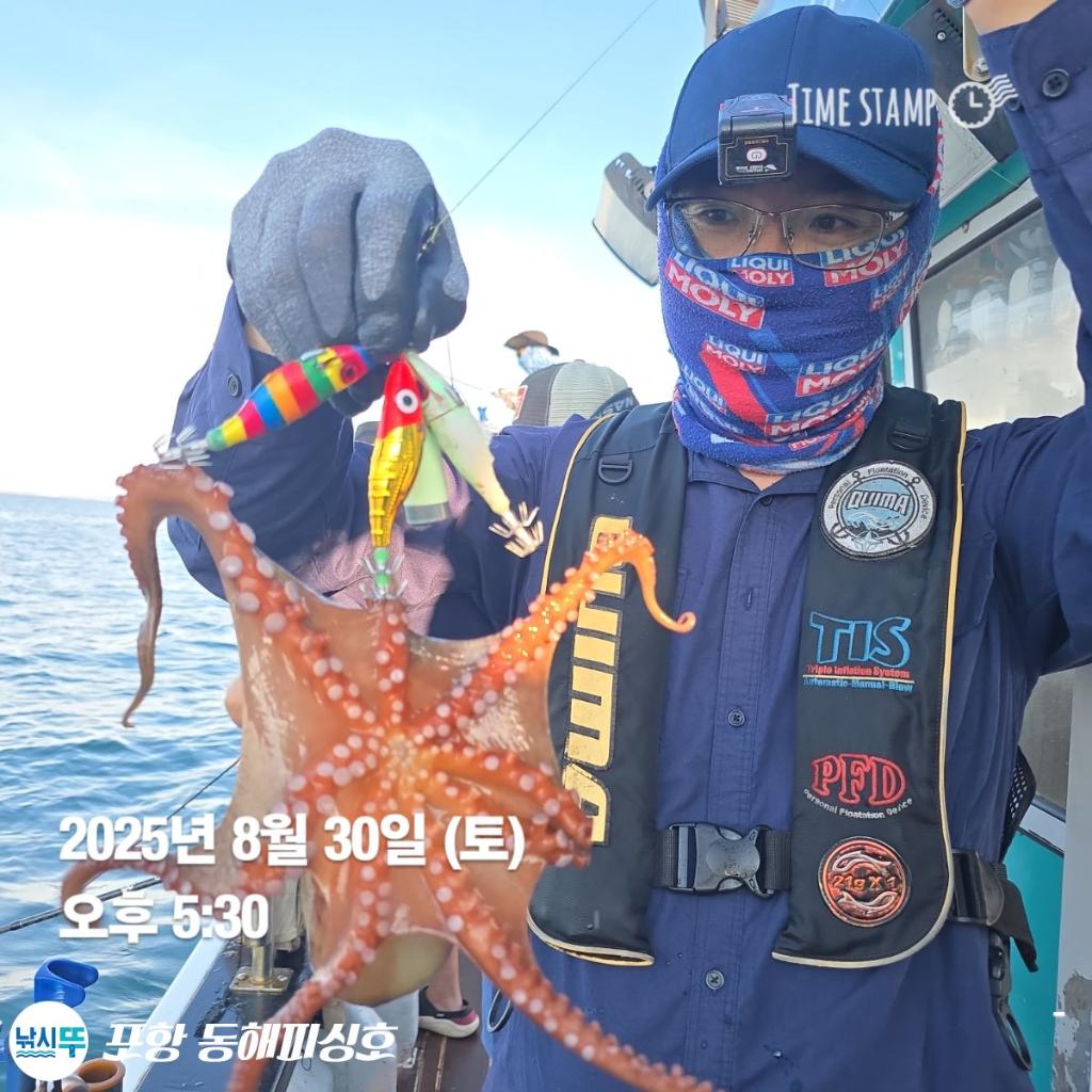 낚시뚜,돌문어,포항(운하관),포항 동해피싱호,낚시뚜2