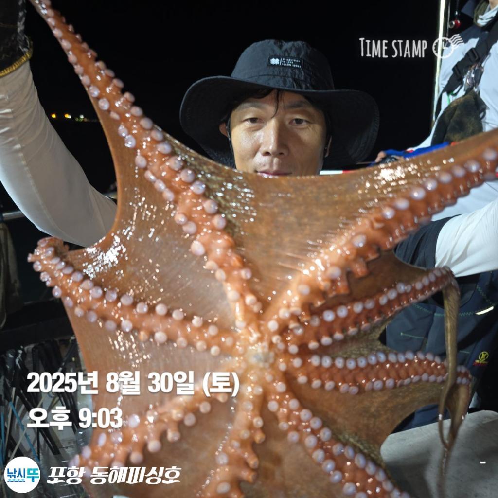 낚시뚜,돌문어,포항(운하관),포항 동해피싱호,낚시뚜0