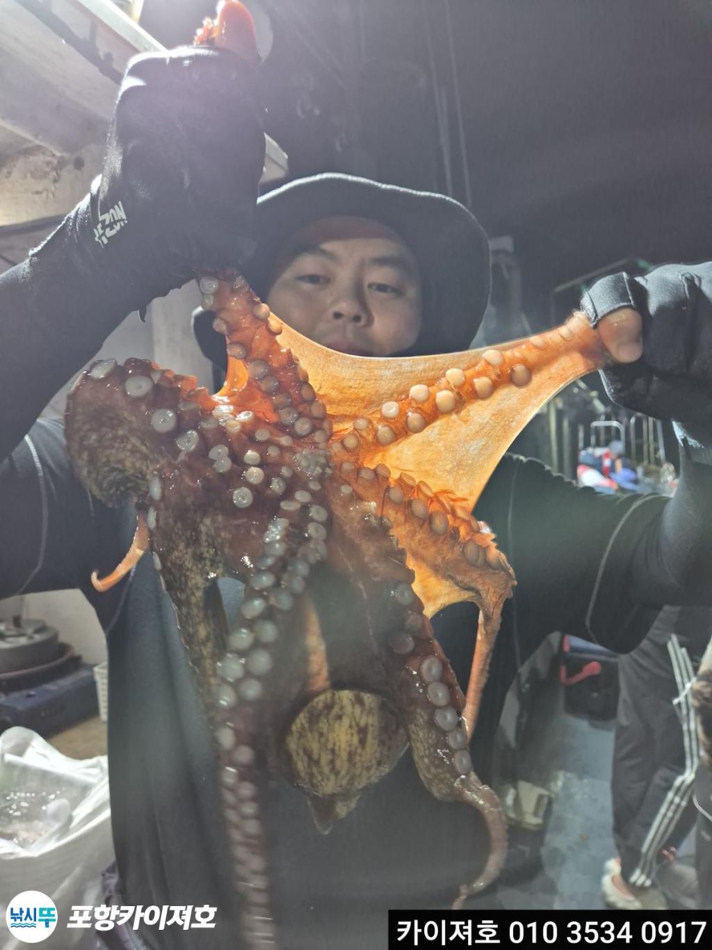 낚시뚜,문어,영일만항,포항카이져호,낚시뚜36
